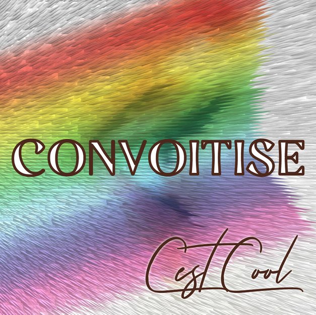 Pochette du single C’est cool de Convoitise