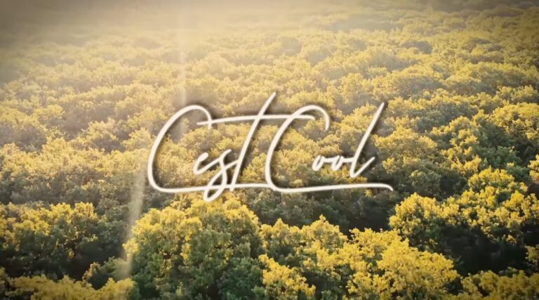 Image extraite du clip C’est cool de Convoitise